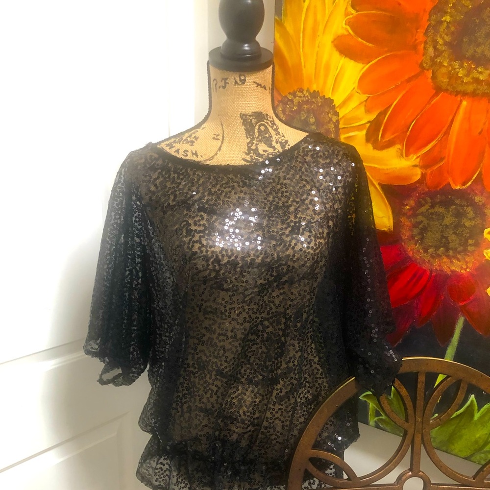 Plus size sequined elasticized waist top